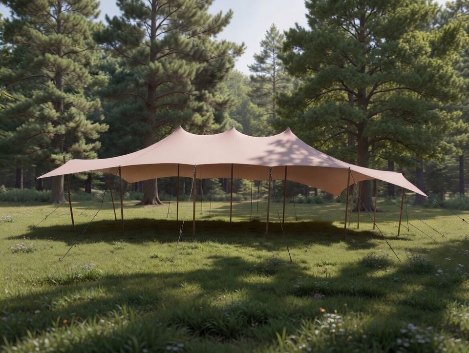 Bedouin event tent installed among pine trees