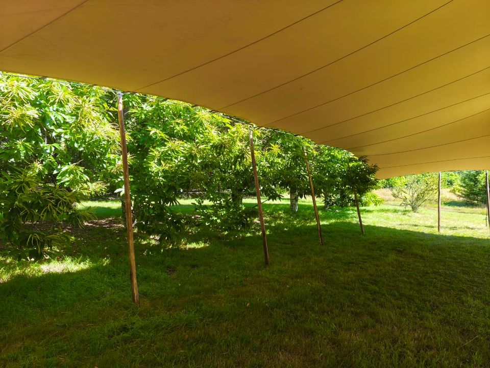 Tensioned event shade installed in a garden